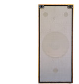 D1 Speaker