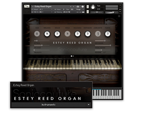 Estey Reed Organ