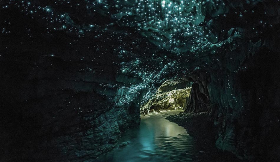 Waitomo-caves-newzealand.jpg