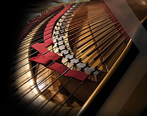 Xtended Piano