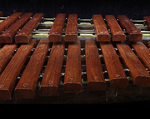Xylophone